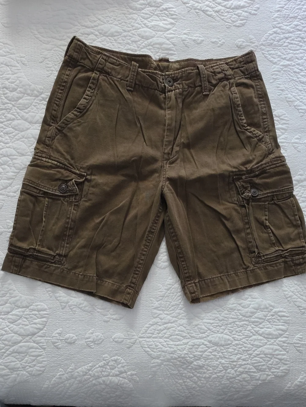 American Eagle Outfitters Men's  Brown Cargo Shorts